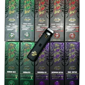 Buy THE 10/10 BOYS 2G DISPOSABLE online