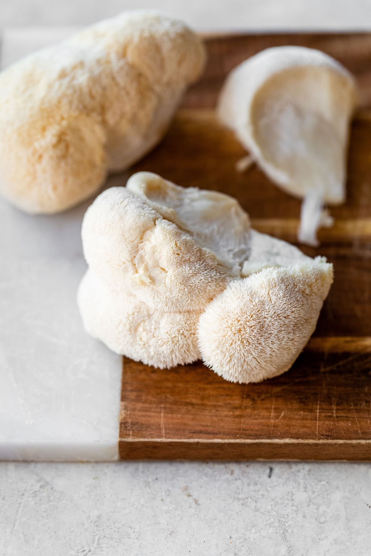 Lion's Mane Lion's Mane